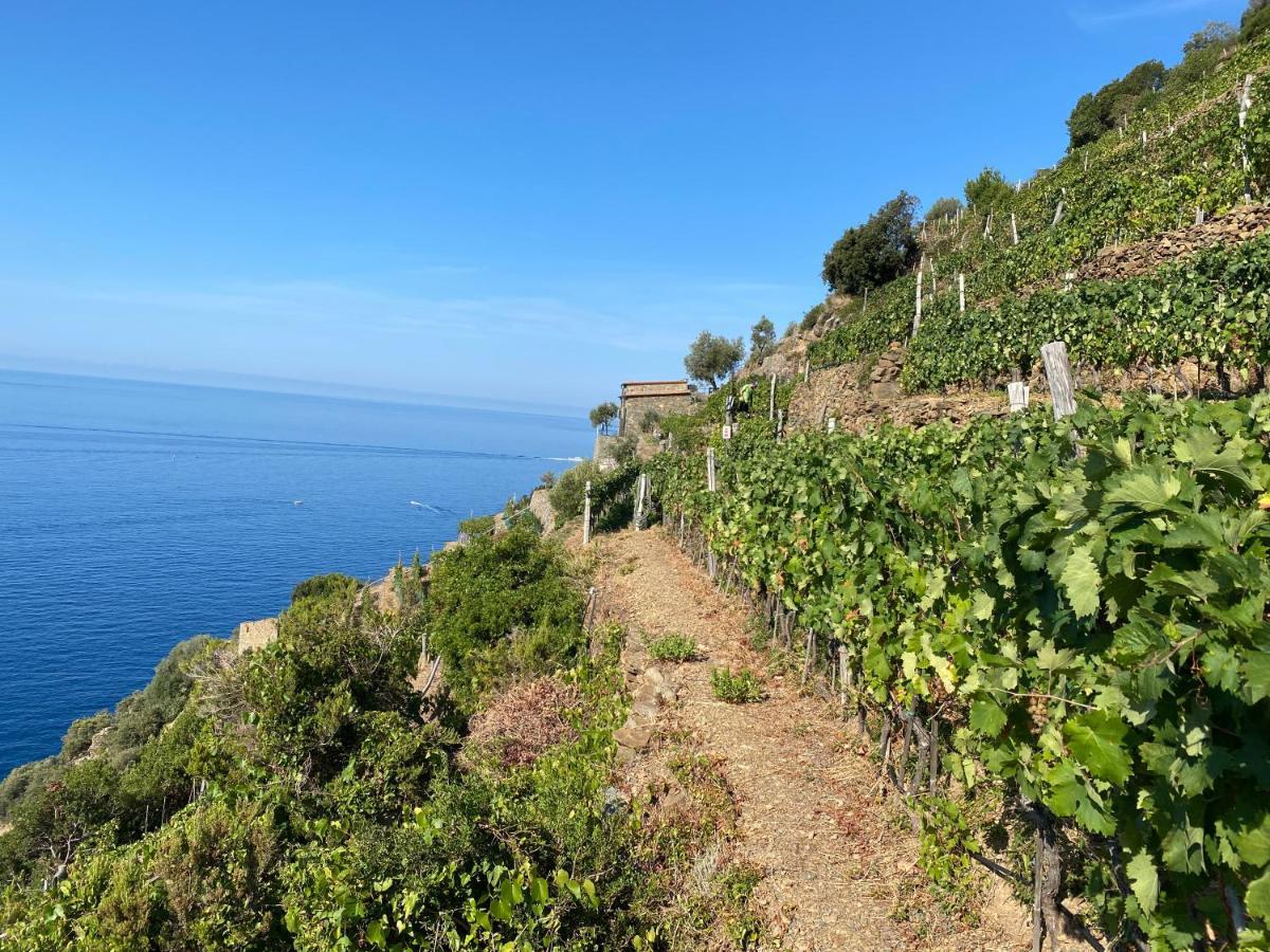 Ferienwohnung Casa Natalina Monterosso al Mare Exterior foto
